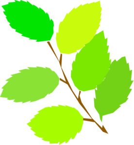 New Leaves Clip Art
